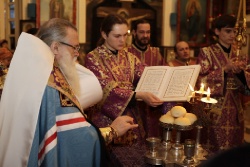 _MG_4810 - �����